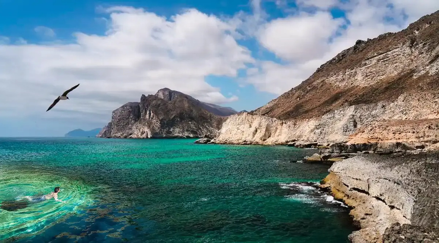 جزایر دیمانیات
