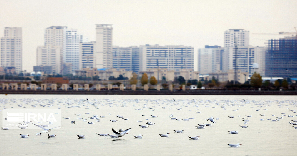 دریاچه چیتگر