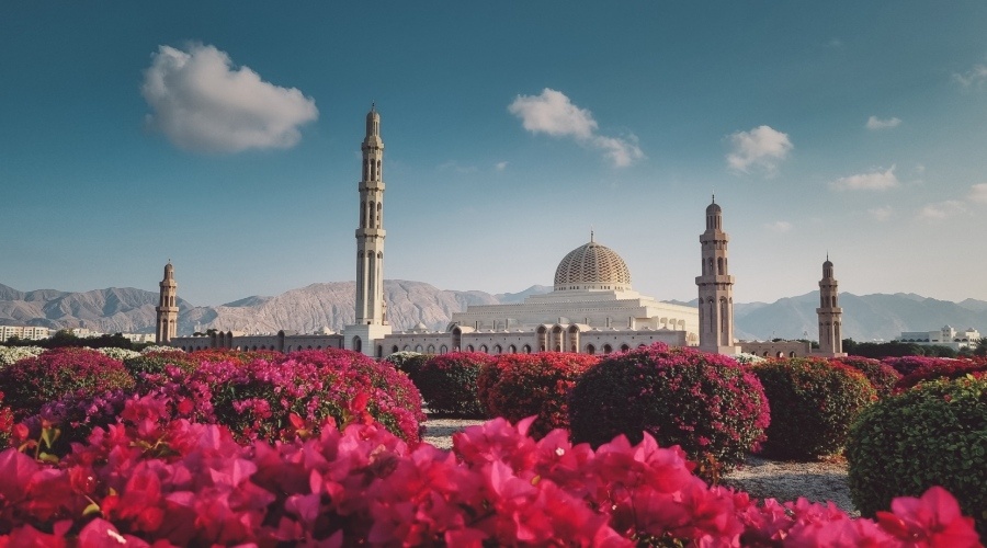 مسقط